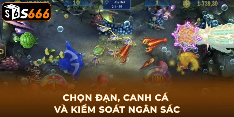 Chọn đạn, canh cá và kiểm soát ngân sách